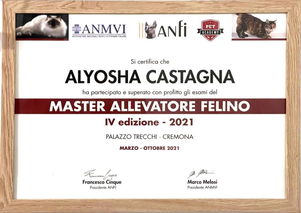 Master Allevatore Felino